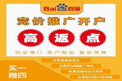 百度SEM竞价策略解析：成功案例分享